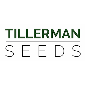 Tillerman Seeds